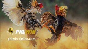 Happy online sabong and hope these how to win sabong can help you have the best online sabong experience. Bisitahin ang casino ngayon.